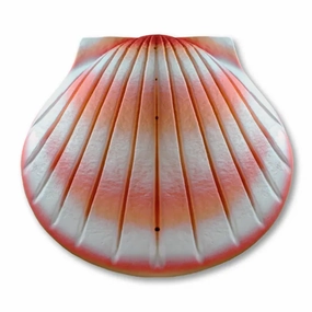 Biodegradable  Companion Shell Water Scattering Urn - Coral