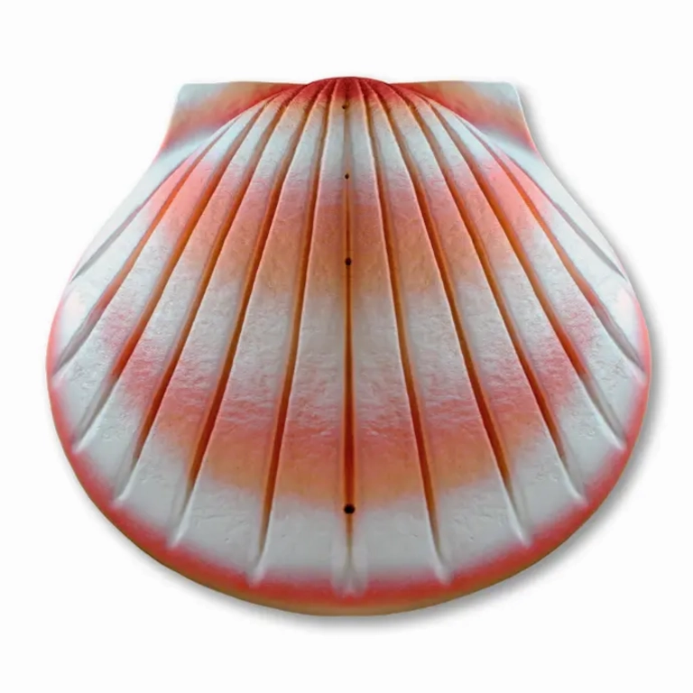 Biodegradable  Companion Shell Water Scattering Urn - Coral