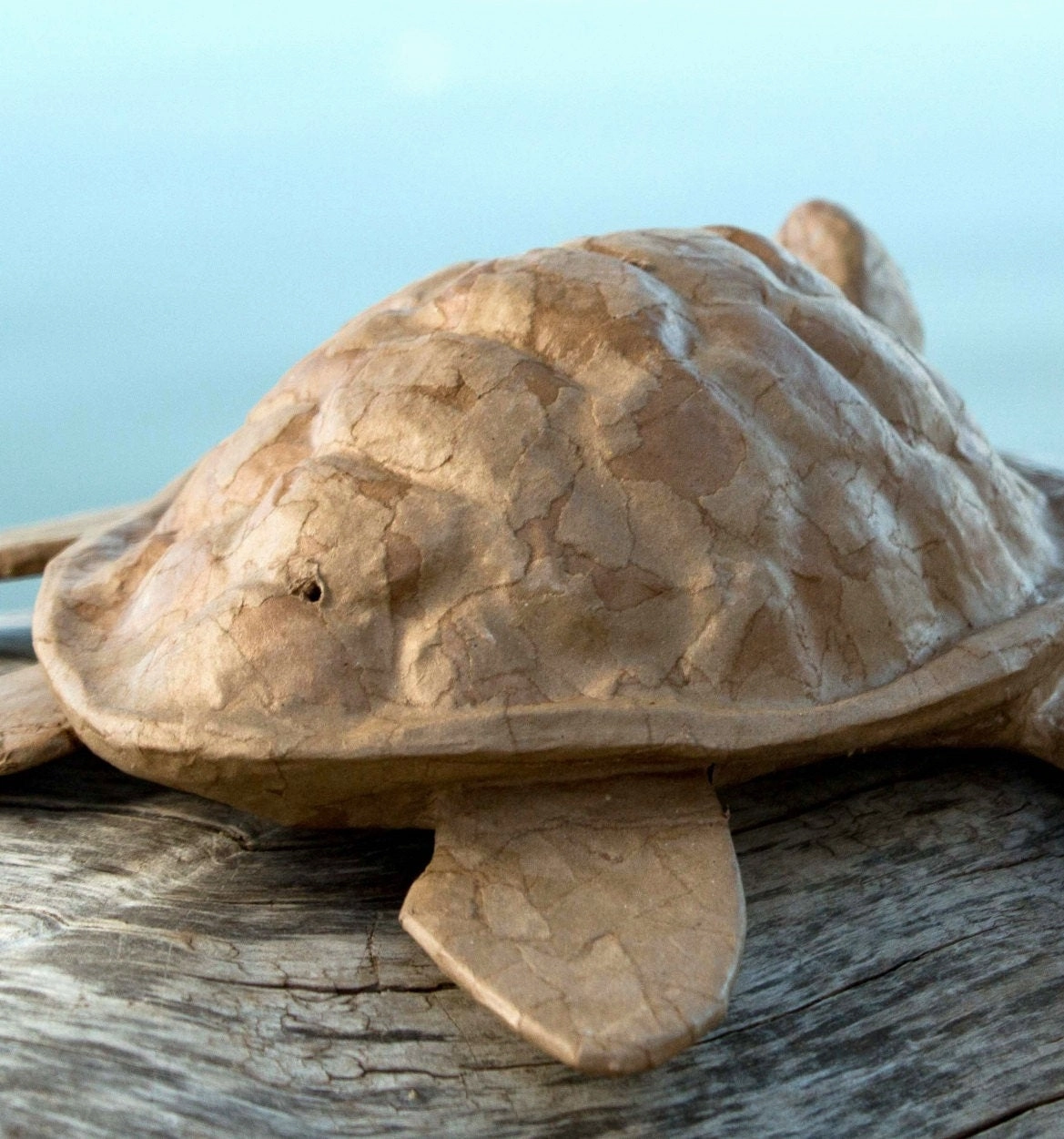 Biodegradable Paper Turtle Water Burial Urn