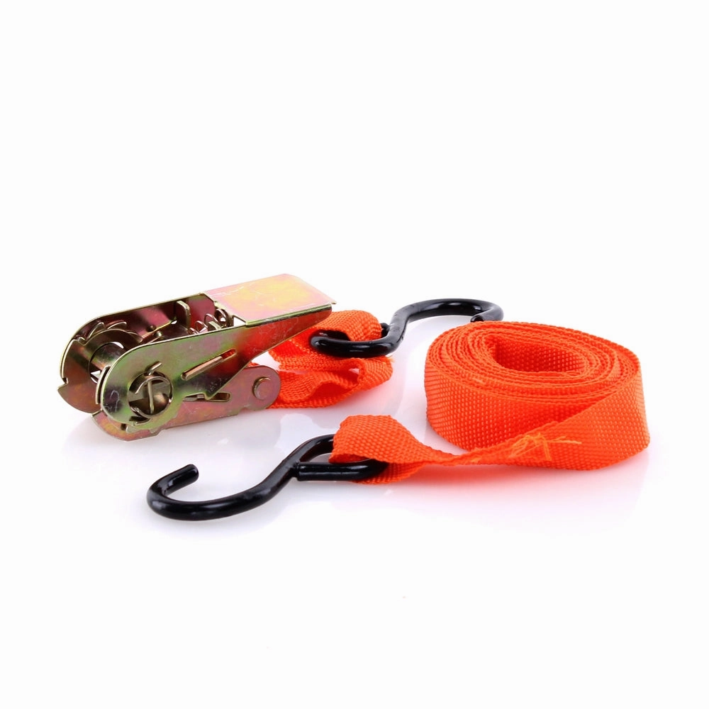 IIT Ratchet w/ Belt